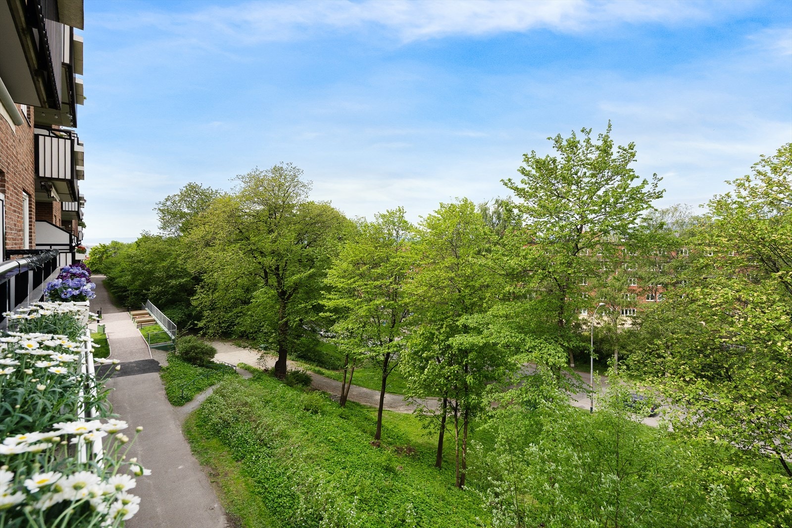 Grønne og frodige omgivelser. Galleribilde
