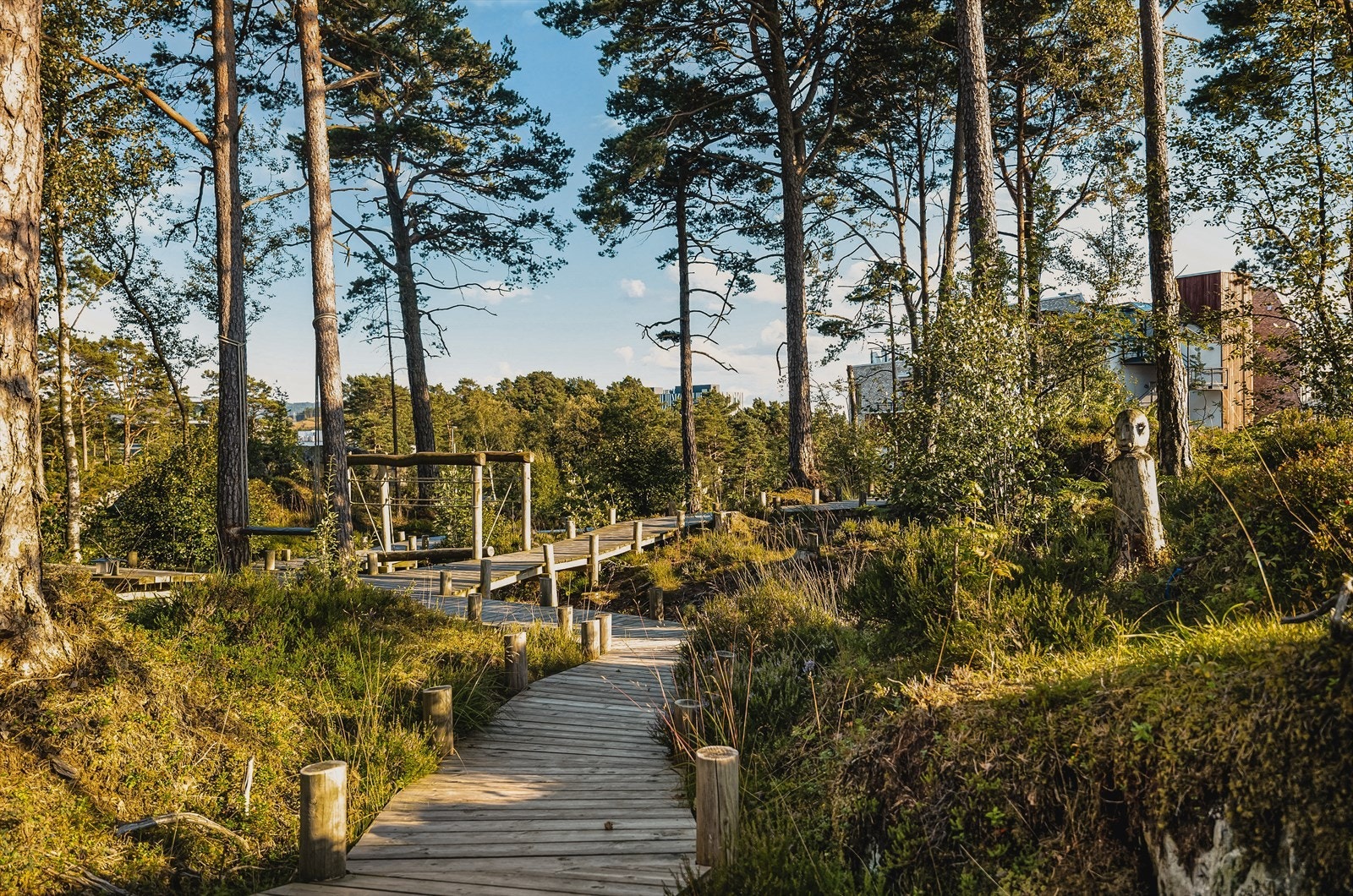 Det er kort vei til utmerket tur- og frilufts terreng. Galleribilde
