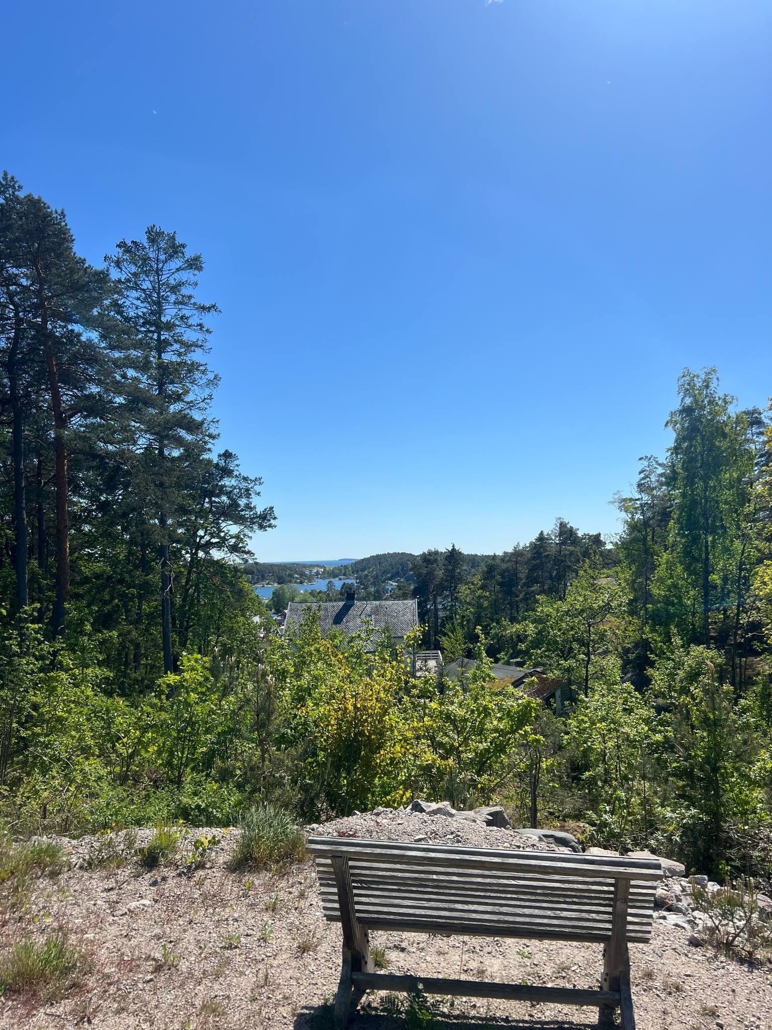 Fra tomten Galleribilde