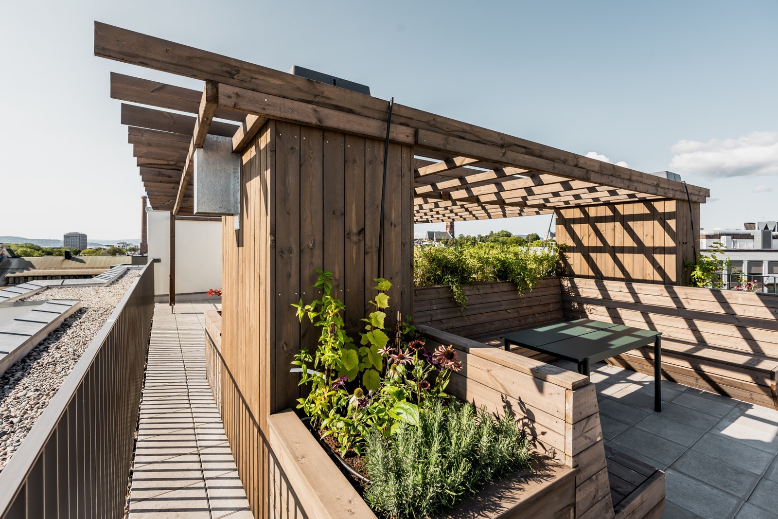 Felles takterrasse Galleribilde