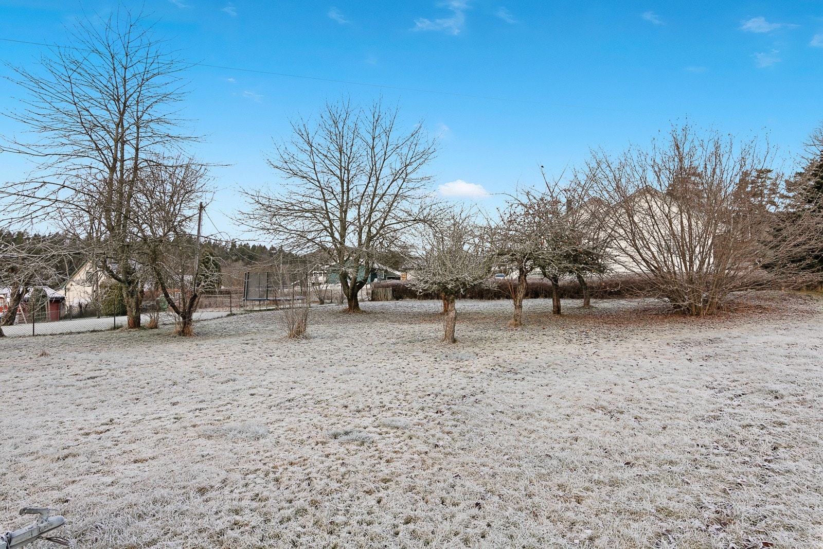 Stor hage Galleribilde