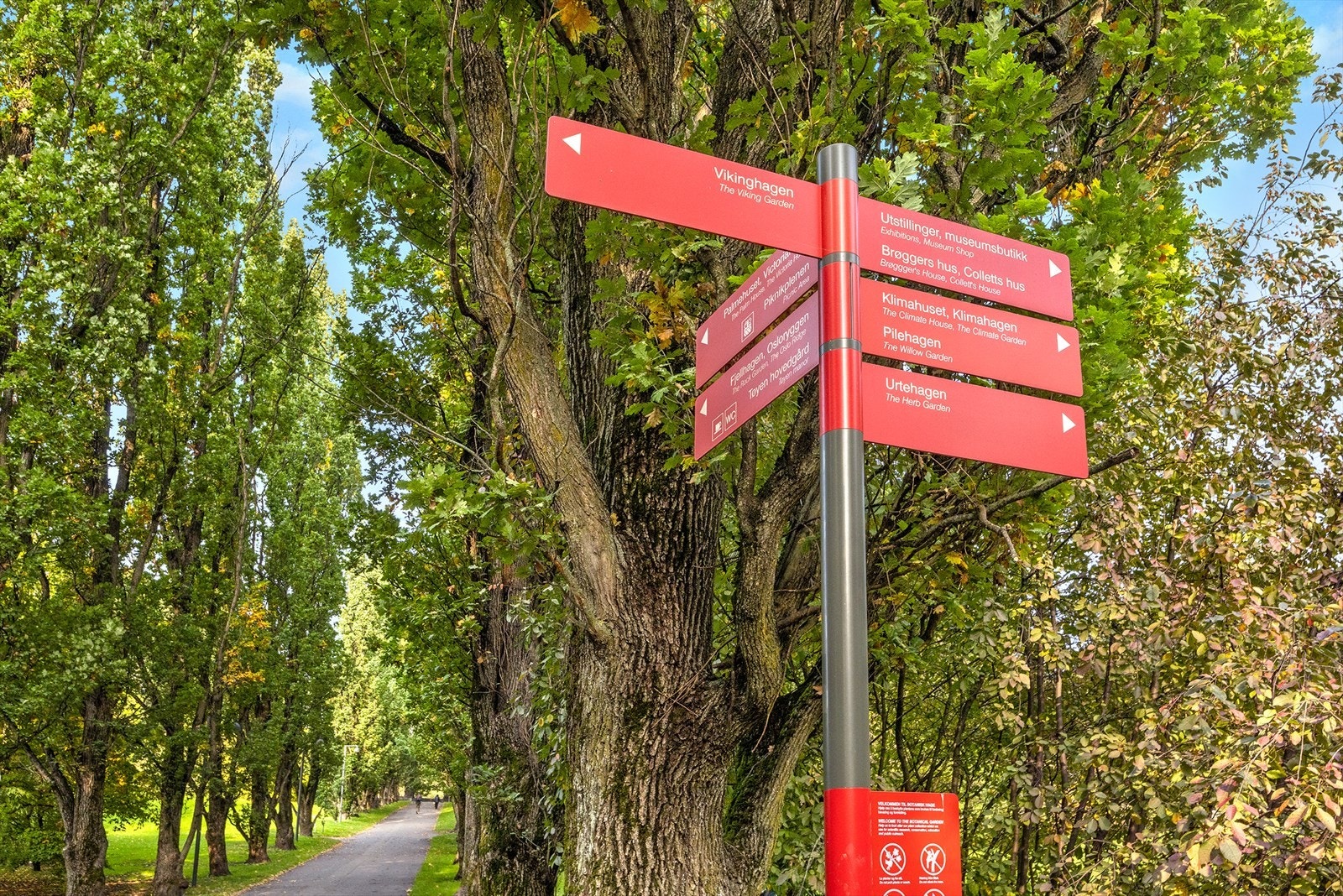 Det er flotte parker og turmuligheter i nærområdet Galleribilde
