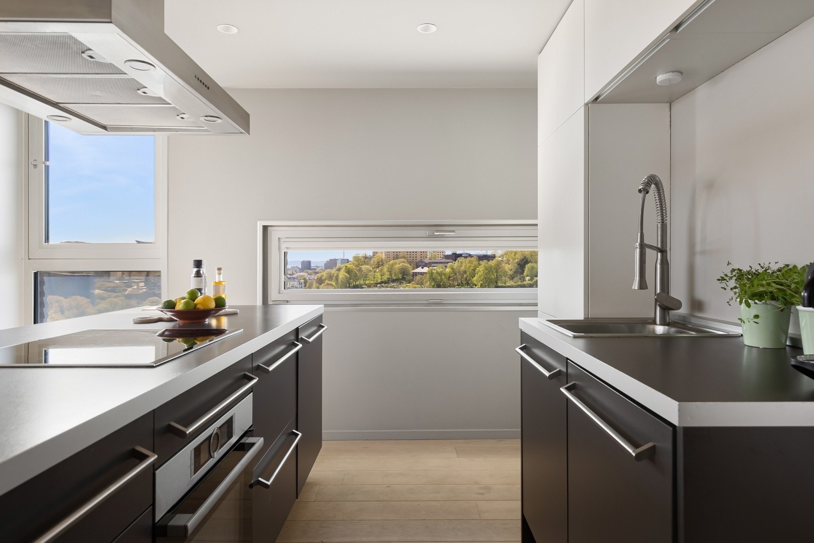 Integrerte hvitevarer som platetopp med induksjon, stekeovn og oppvaskmaskin. Galleribilde