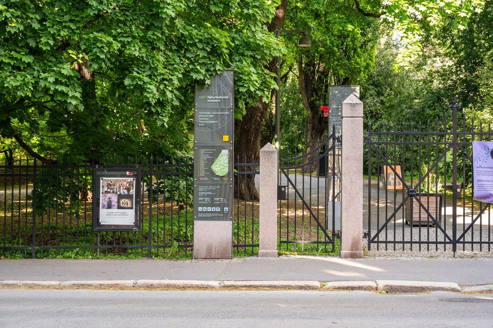 Botanisk hage - et levende museum ikke lange veien fra boligen. Galleribilde
