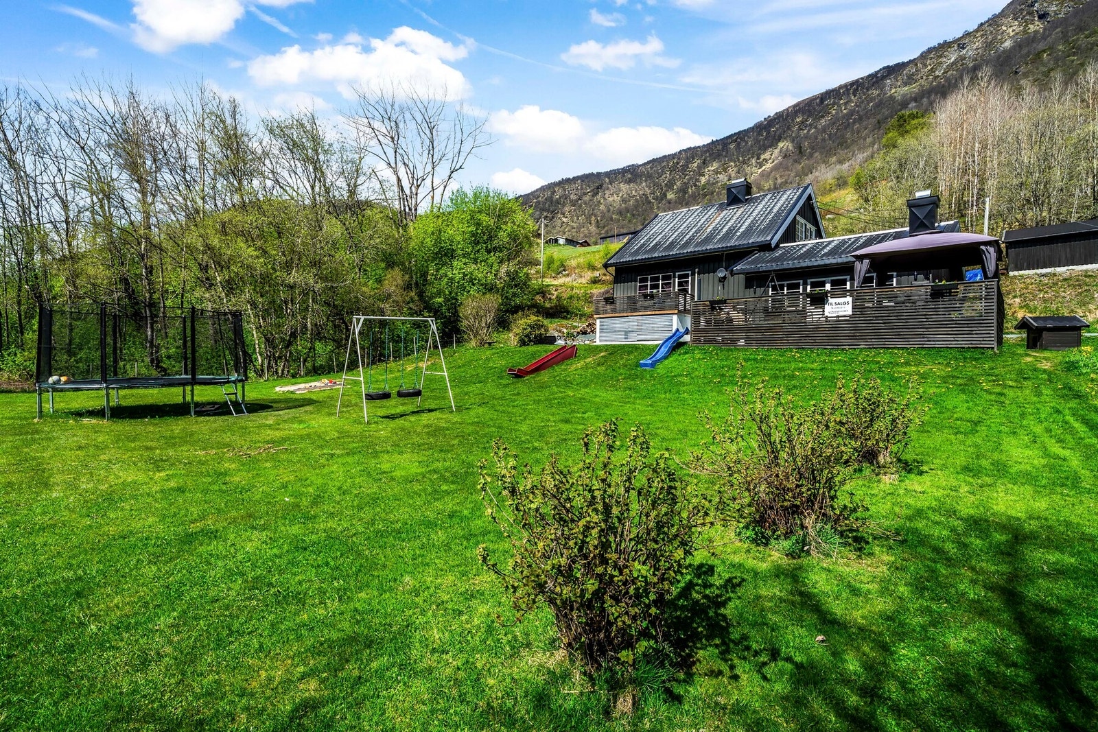 Stor hage med flere busker og blomster. Galleribilde