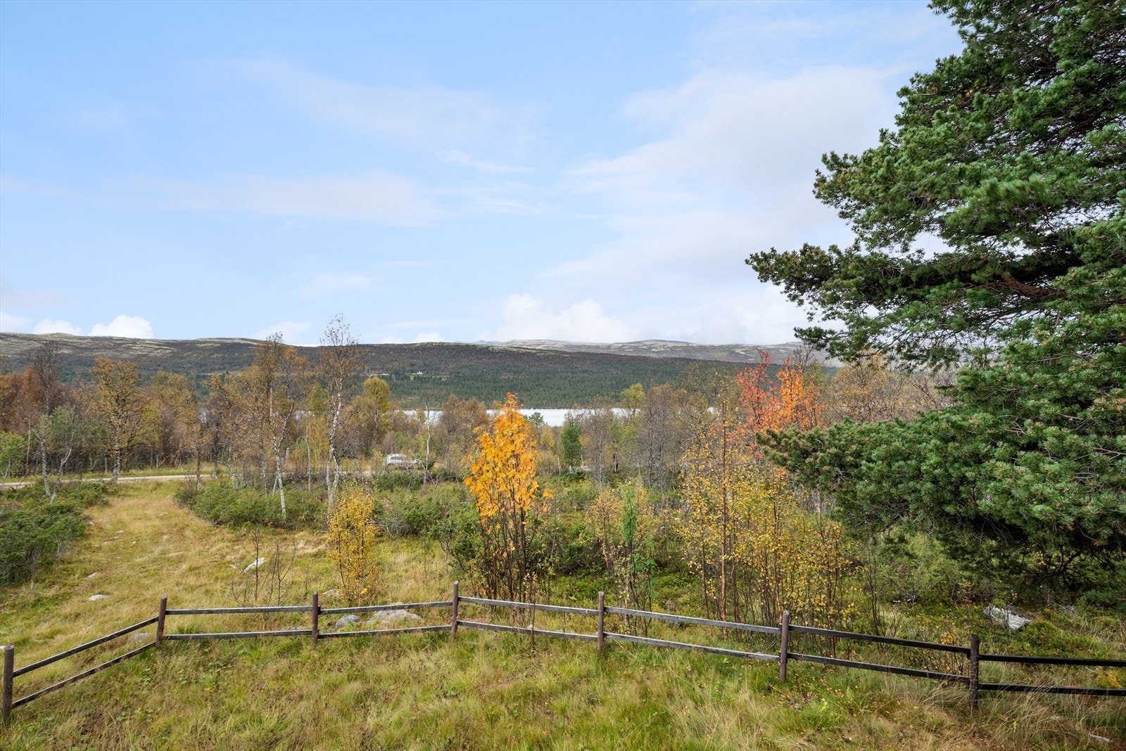 Utsikt. Galleribilde