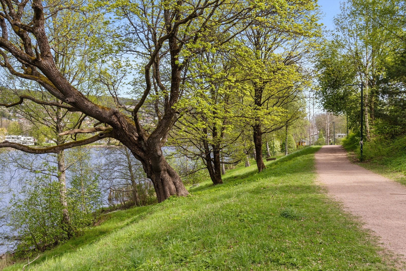 Fra leiligheten har man kort avstand til idylliske promenader langs Drammenselva Galleribilde