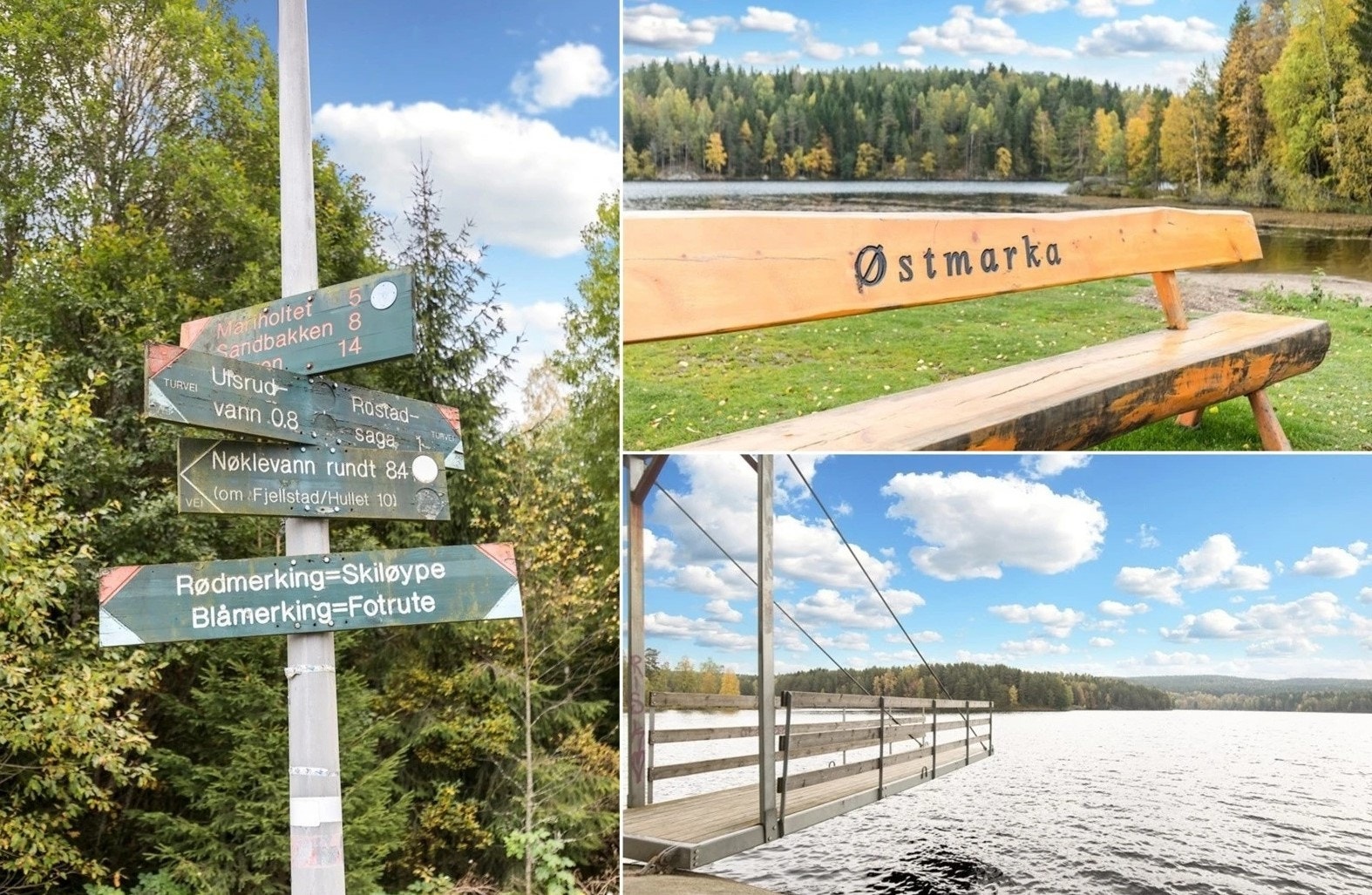 Nærområdet har mye å by på; spesielt Østmarka. Galleribilde