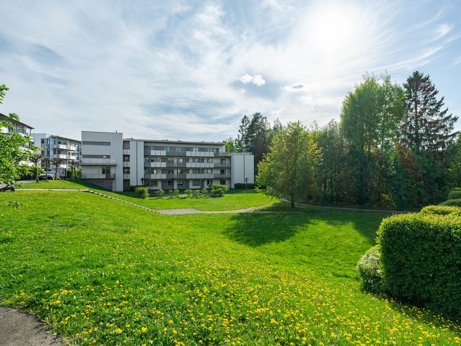 Velkommen til en hyggelig visning! Galleribilde