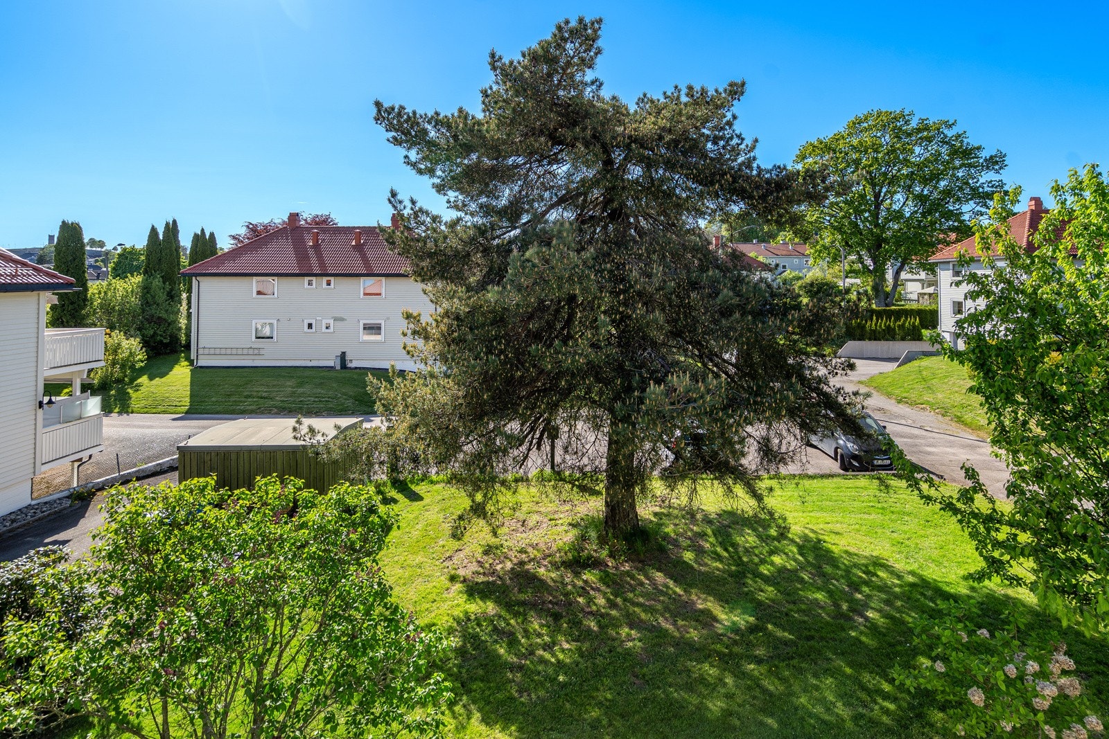 Frodige fellesområder Galleribilde