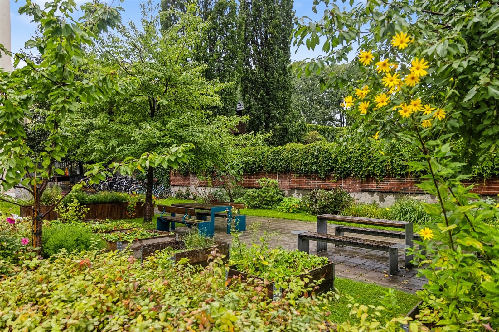 Bakgården er barnevennlig og inneholder lekeområde, plantekasser, felles bringebærbusker og flere sittegrupper til felles bruk. Galleribilde