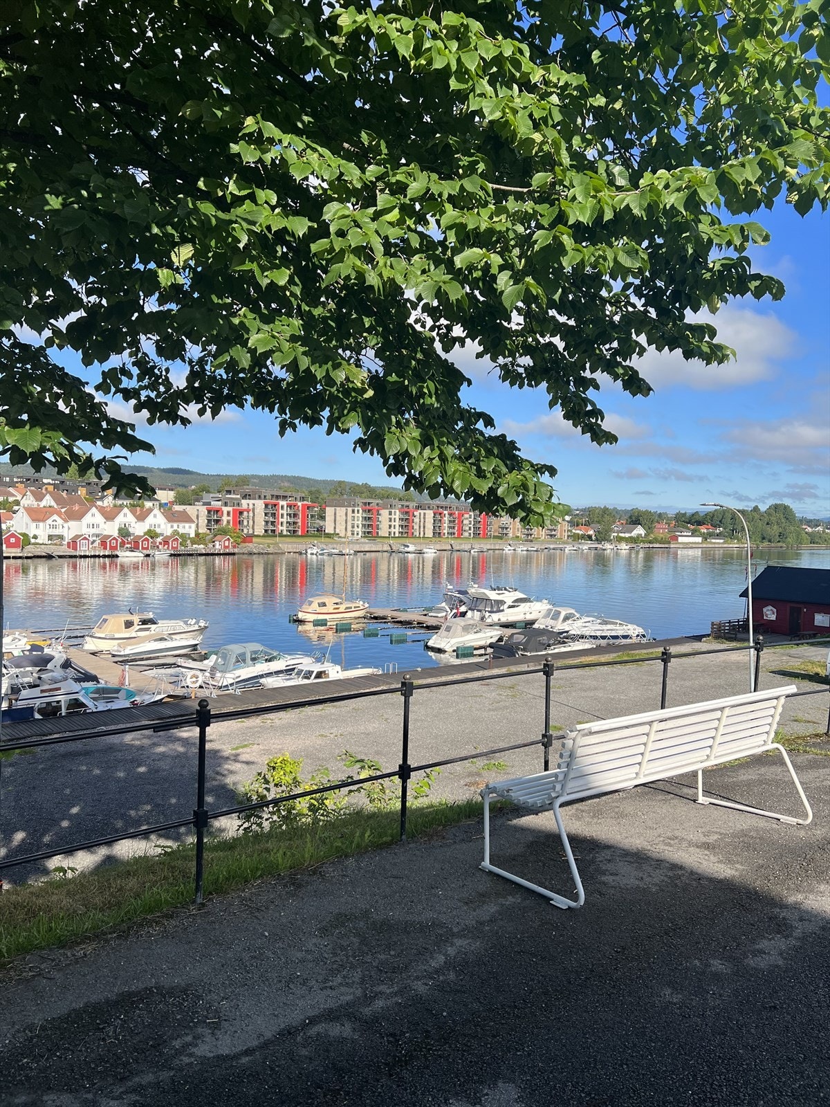 Privat bilde fra selger - Nærområdet Osebakken sommer Galleribilde