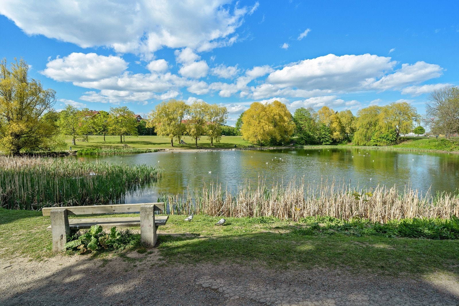 I nærområdet for øvrig har en gangavstand til flotte friområder ved Valle Hovin, i Tøyenparken, Botanisk hage, Kampen og Vålerenga, samt urbane fellesområder og gatetun i Ensjøbyen, Tiedemannsjordet og på Marienfryd. Galleribilde