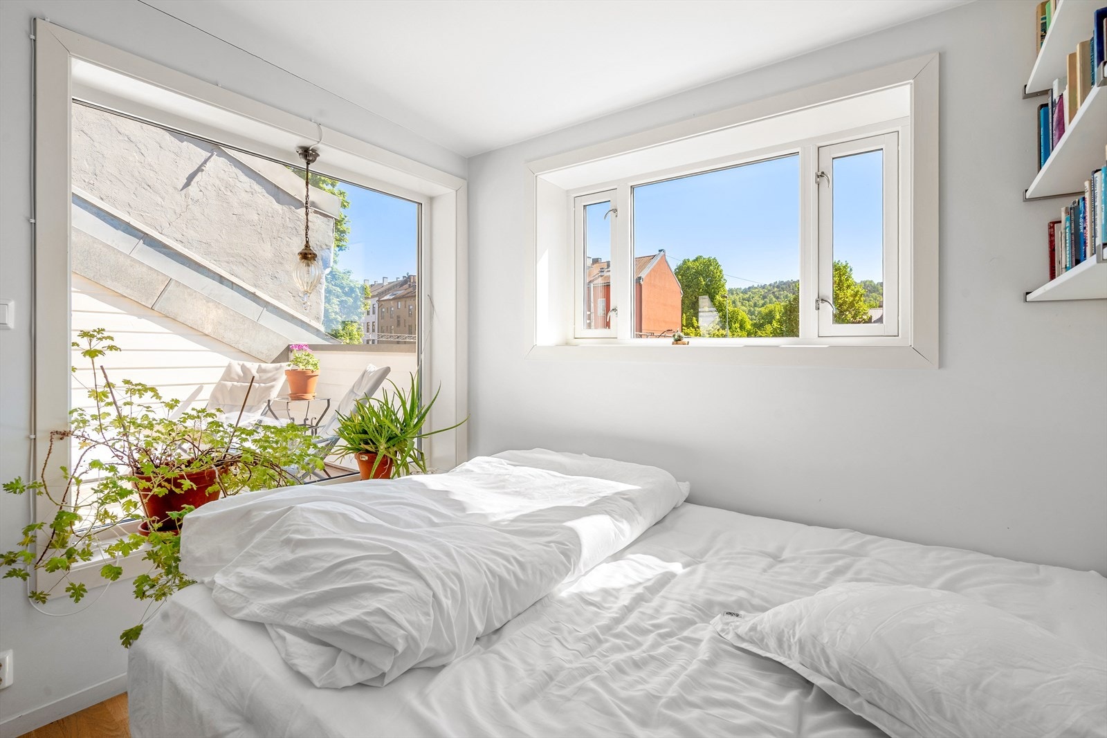 Deilig utsyn å våkne til. Galleribilde