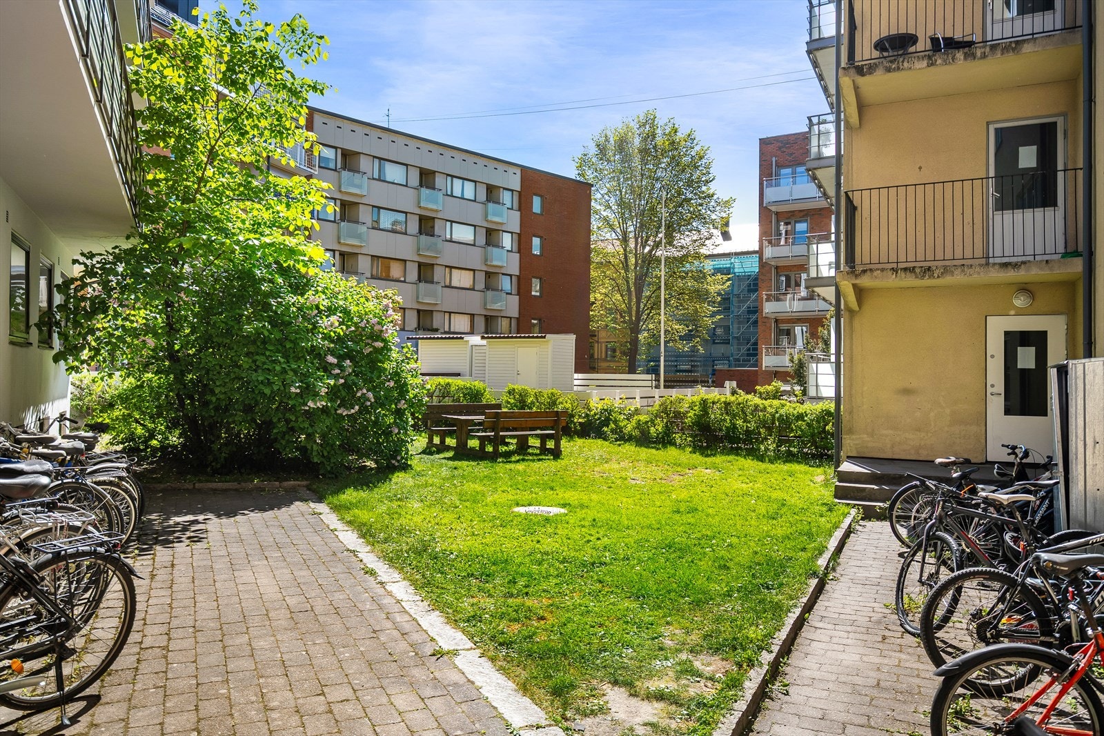 Bakgård Galleribilde