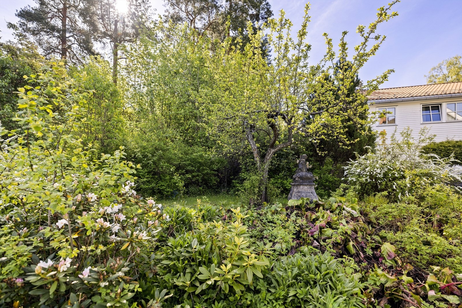 Hagen er beplantet med frukttrær og prydbusker. Galleribilde