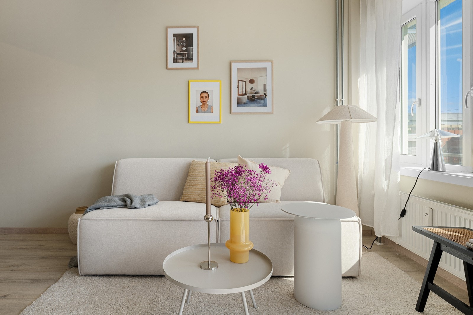 Stue | Naturlig sone for en sofa. Galleribilde