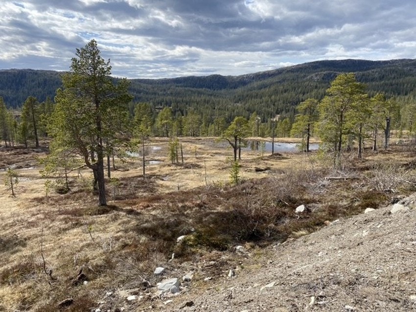 For den turglade er mulighetene nærmest uendelige, enten du ønsker en rolig rusletur eller en lengre fjelltur i storslått natur. Galleribilde