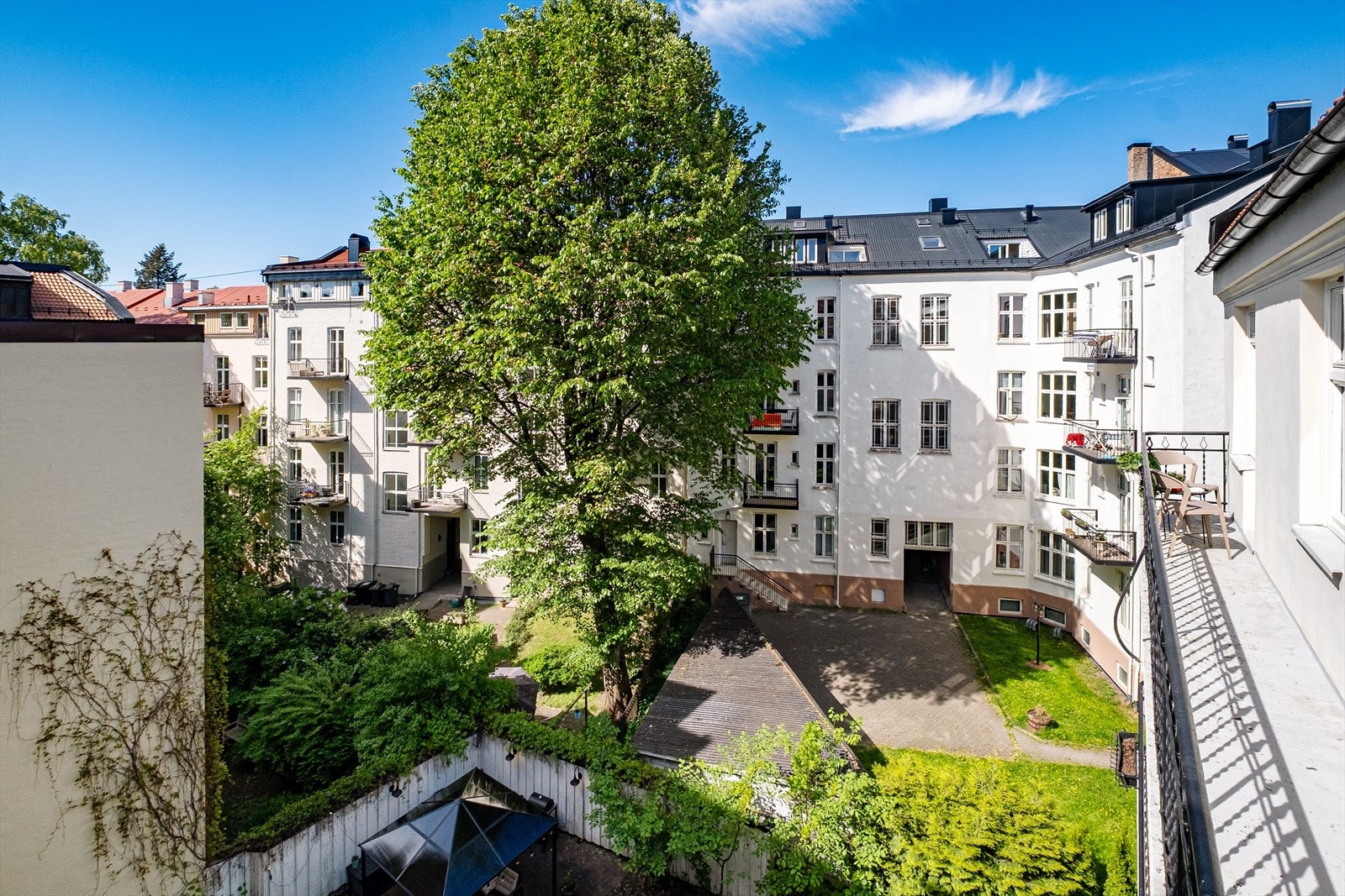 Utsyn mot frodig bakhage. Galleribilde