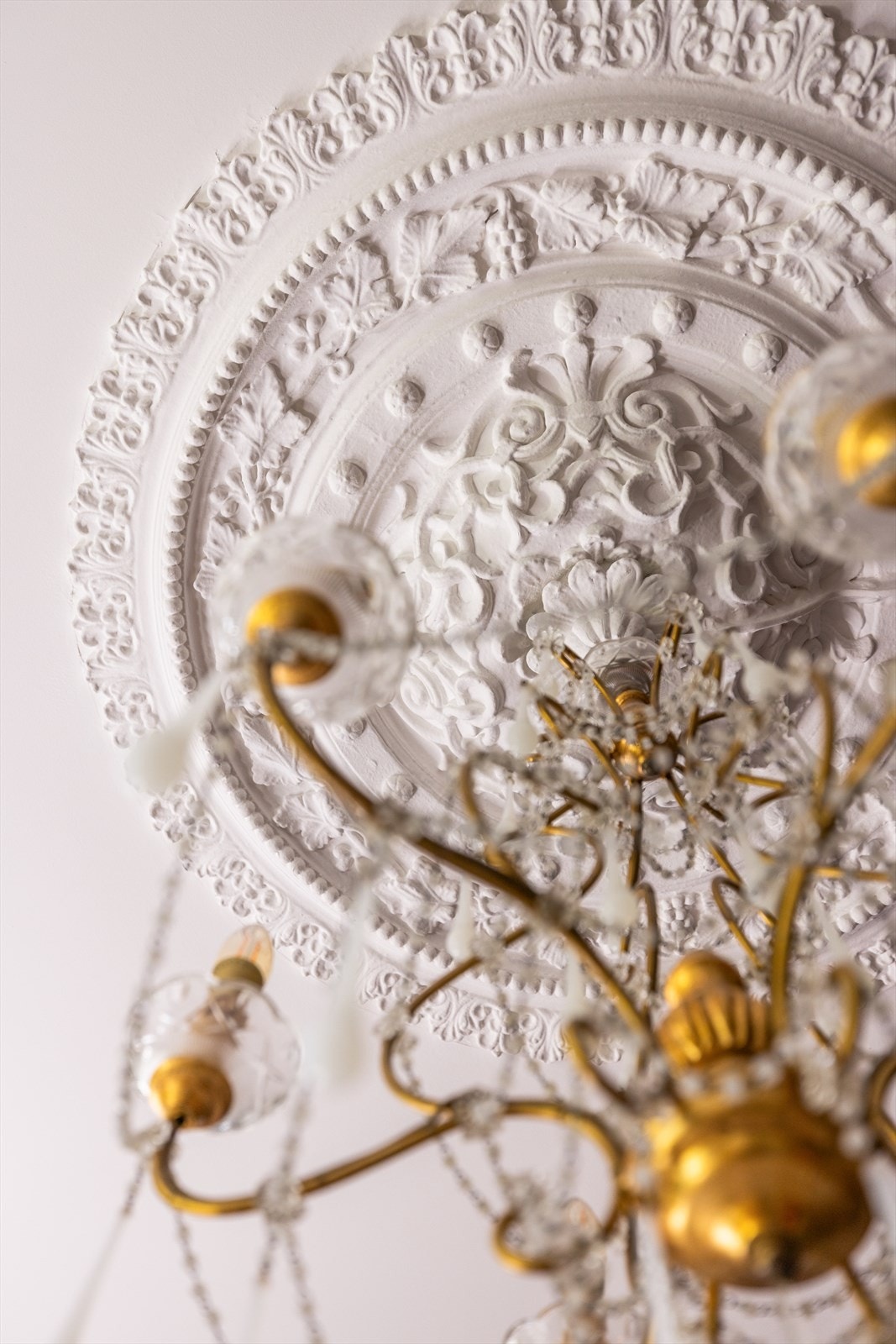 Klassiske detaljer som stukkatur og rosett. Galleribilde