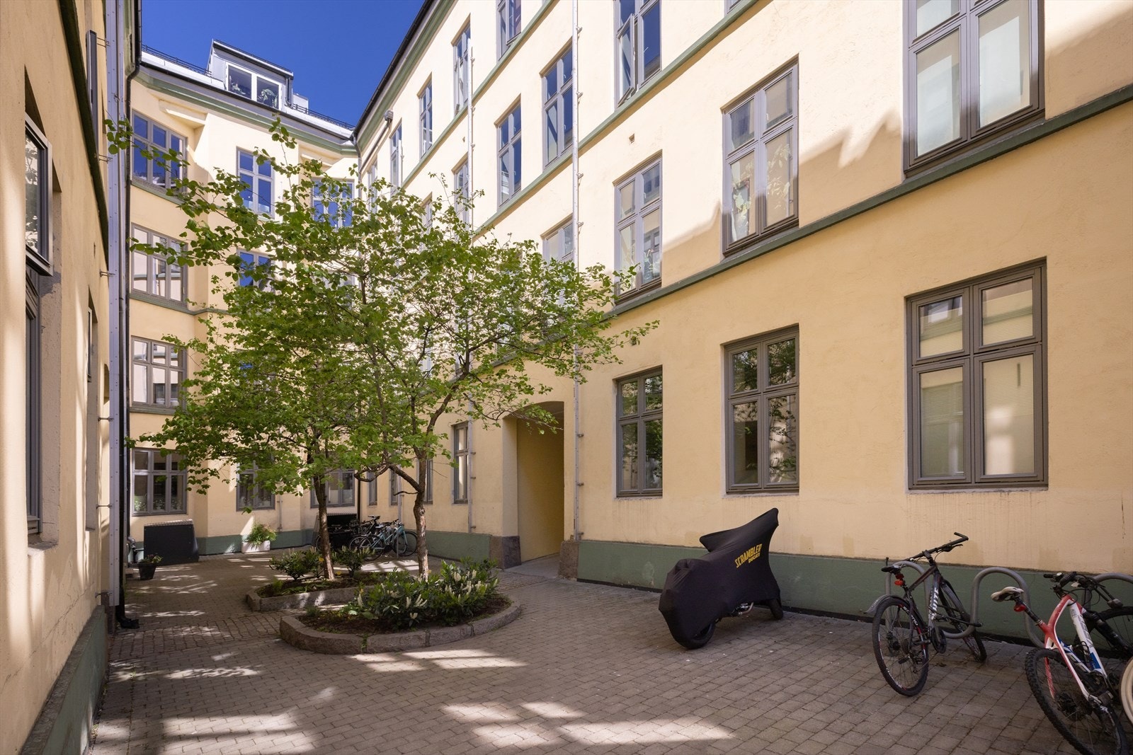 Rolig bakgård med hyggelig beplanting. Galleribilde