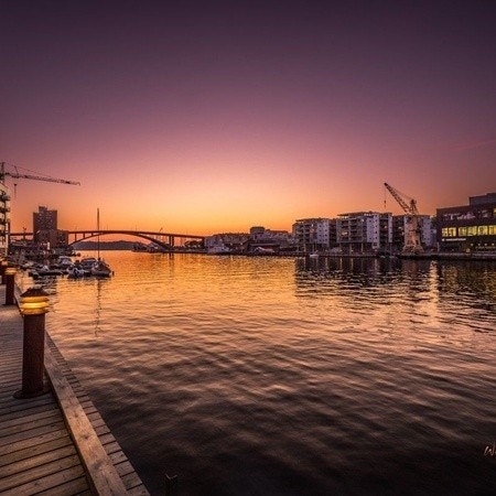 Damsgård Galleribilde