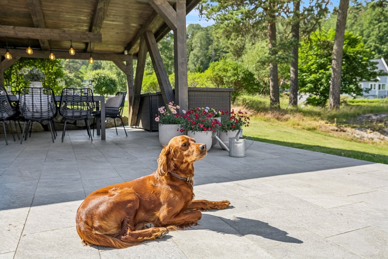 Her er det deilig å være - både for 2- og 4-beinte Galleribilde