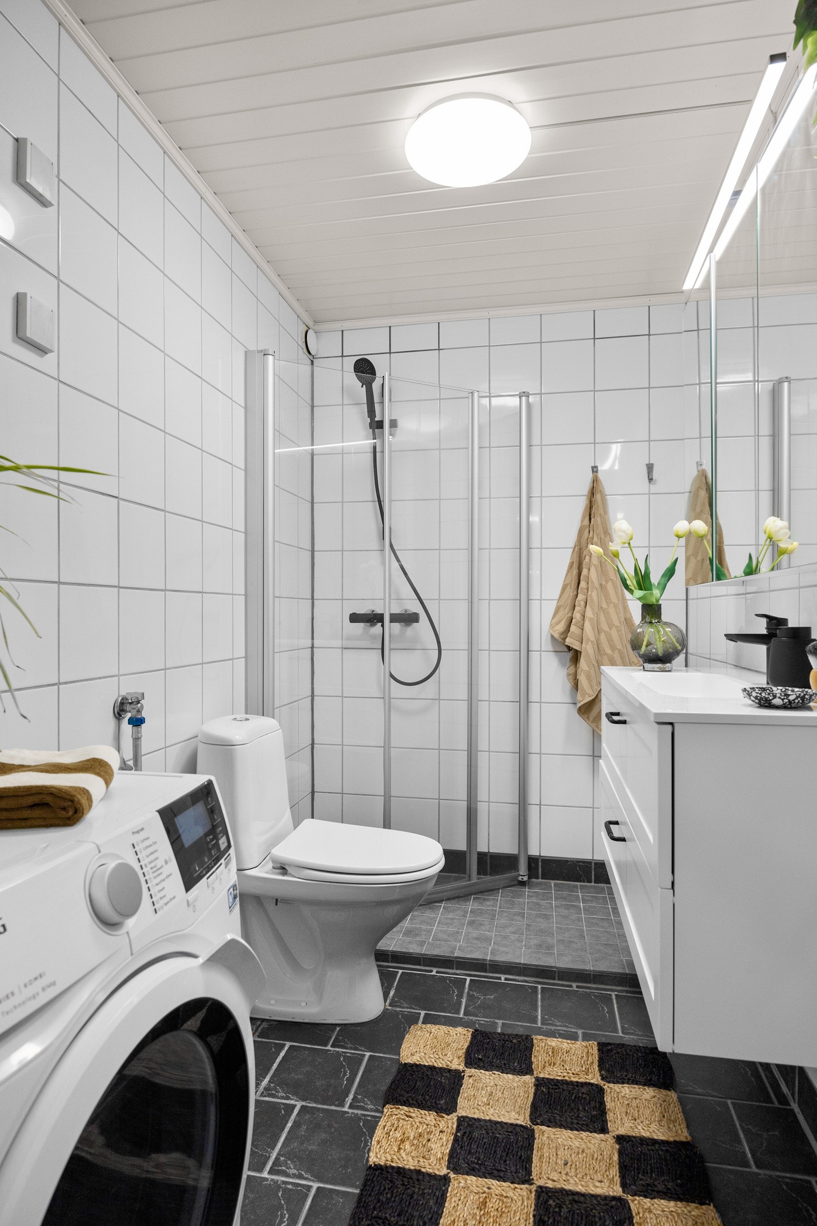 - Dusjnisje med innfellbare dusjvegger, toalett, servant med skap og speilskap - Galleribilde