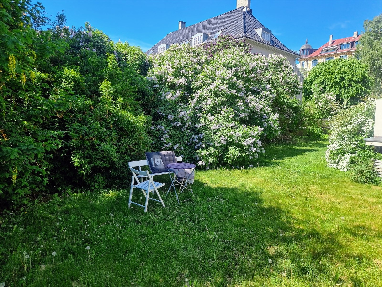Sameiets hage. Selgers private bilde. Galleribilde