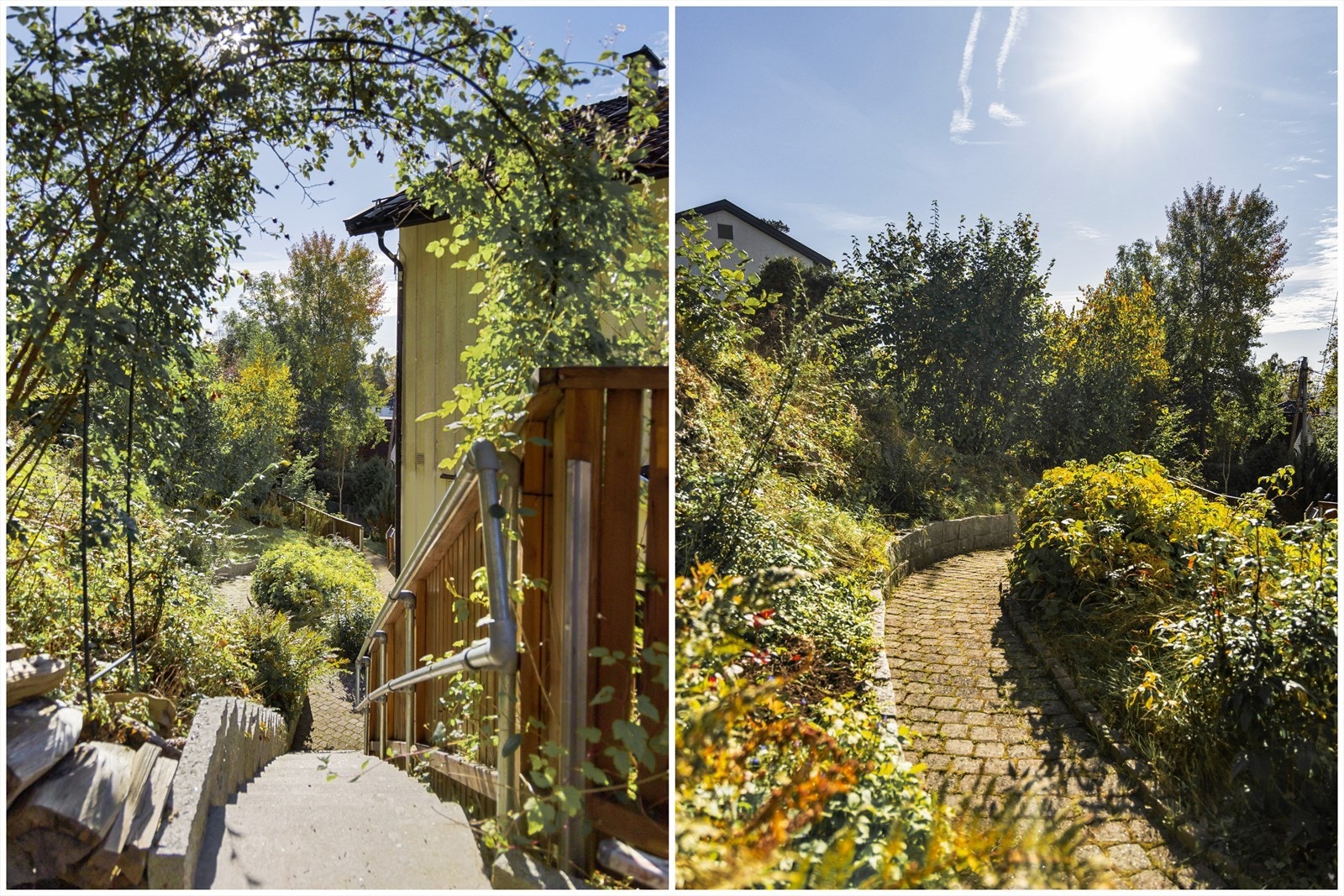 Frodig og grønt Galleribilde