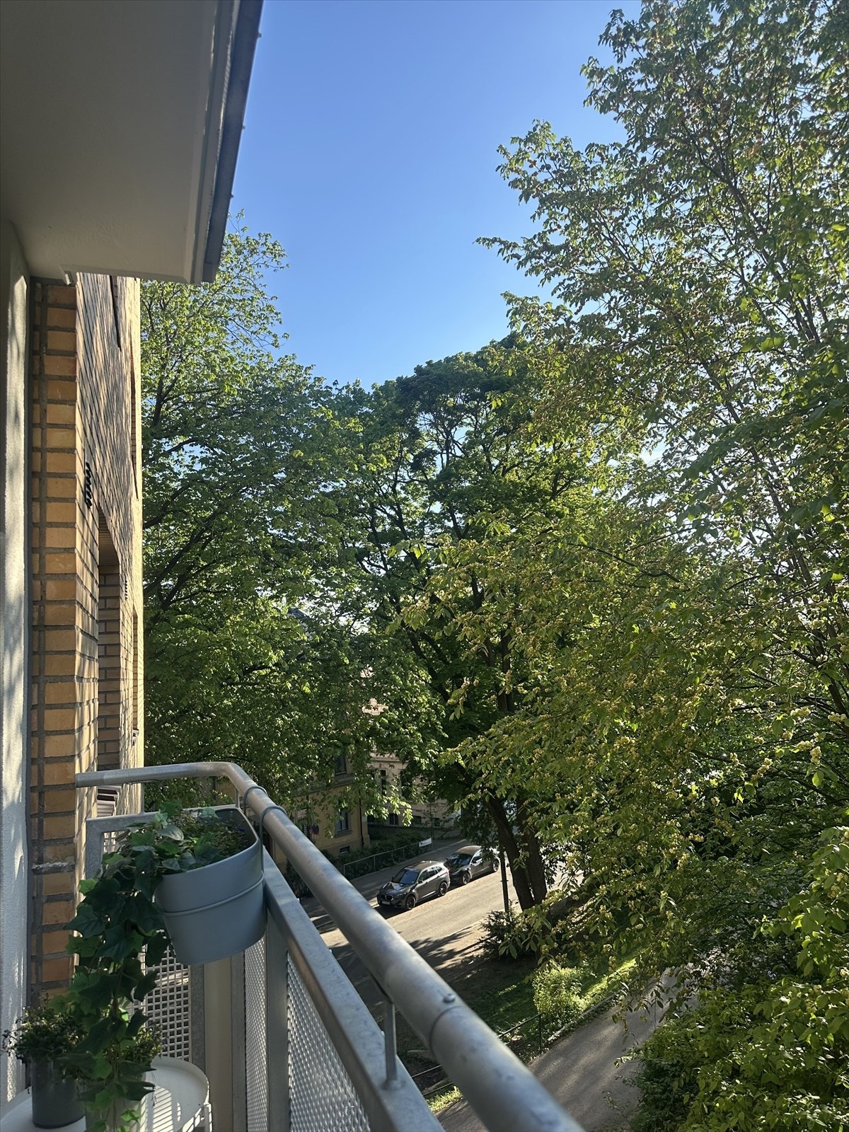 Sommerstid har man en grønn og idyllisk oase rett fra balkongen (selgers egne bilder). Galleribilde