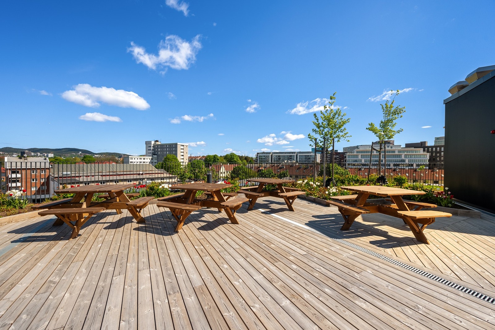 Felles takterrasse Galleribilde