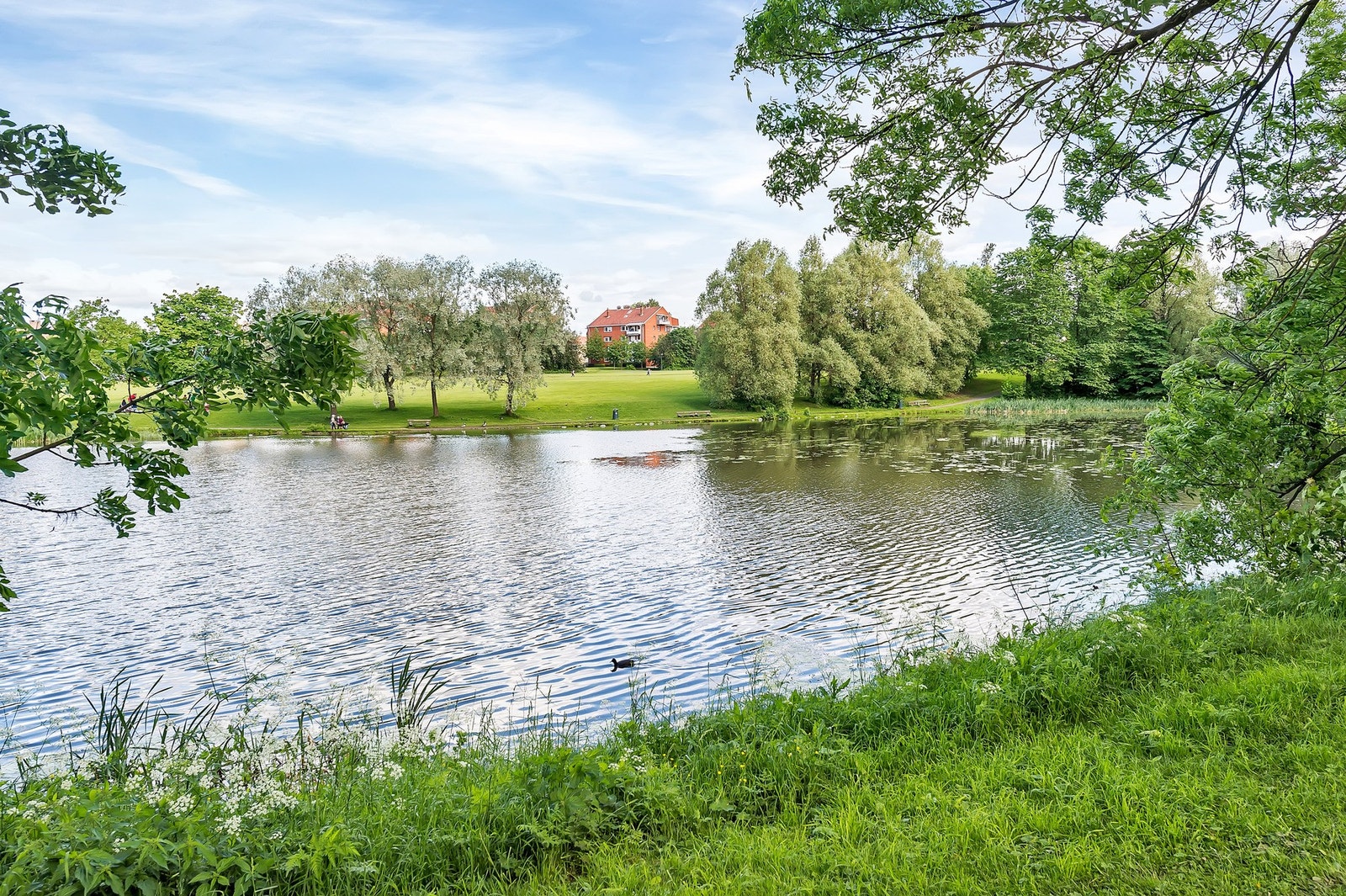 Hovindammen Galleribilde