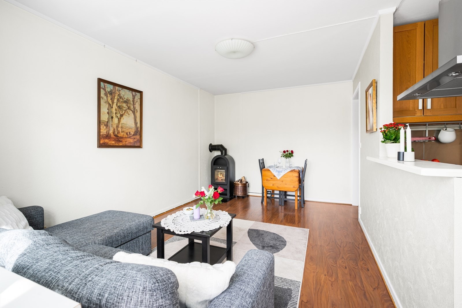 Peisovnen gir en lun varme og hyggelig atmosfære i rommet. Galleribilde