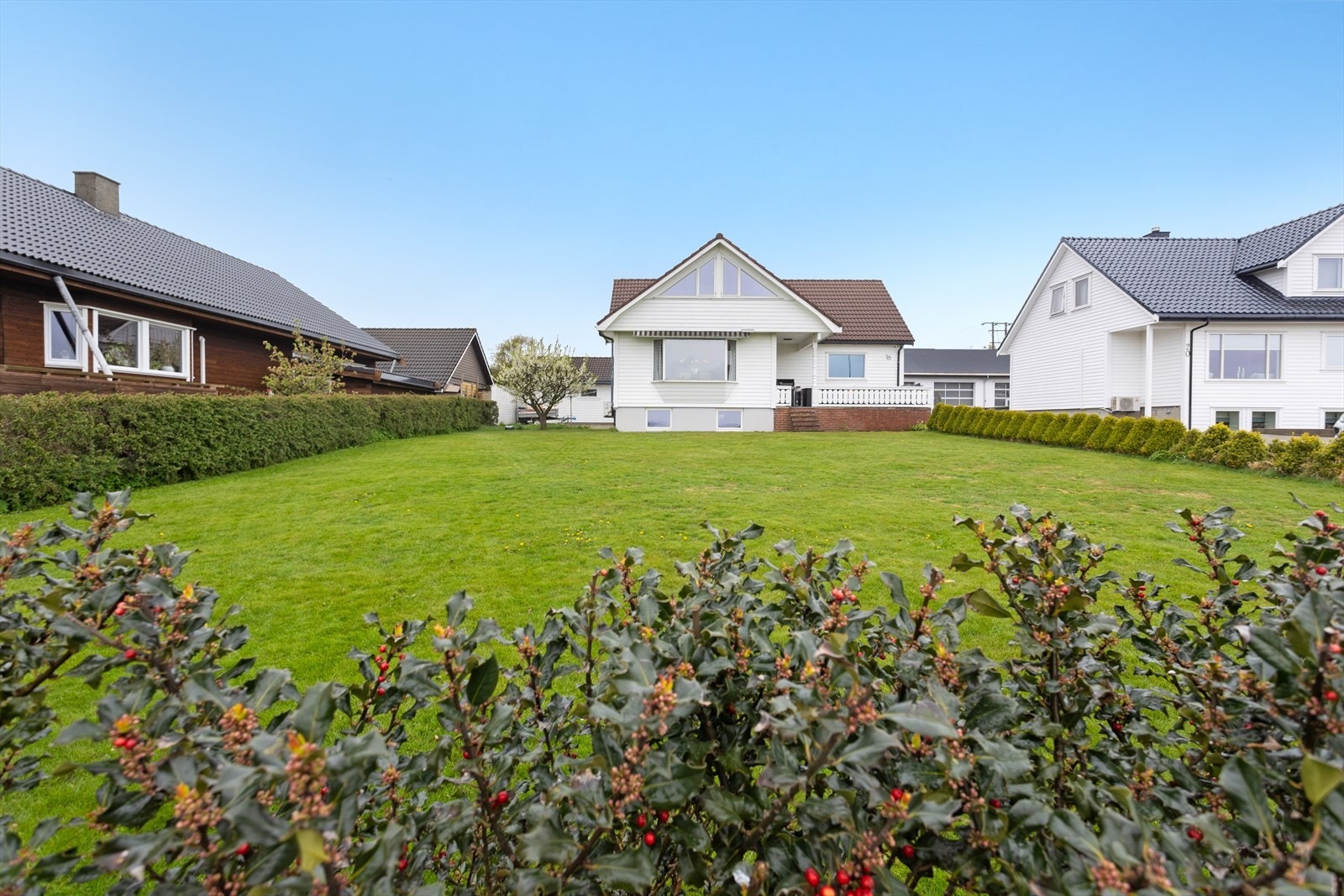 Flat og bruksvennlig tomt. Plommetre med fortreffelige frukter til venstre for huset. Galleribilde