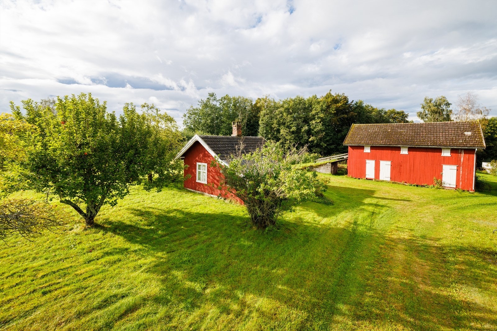 Stor fin hage med epletrær og busker. Galleribilde