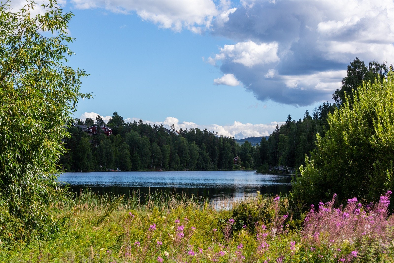 Langvannet er en perfekt plass å nyte seg av finværet, med sandstrand, flytebrygge, HWC-toalett, grill og sittegrupper. Galleribilde