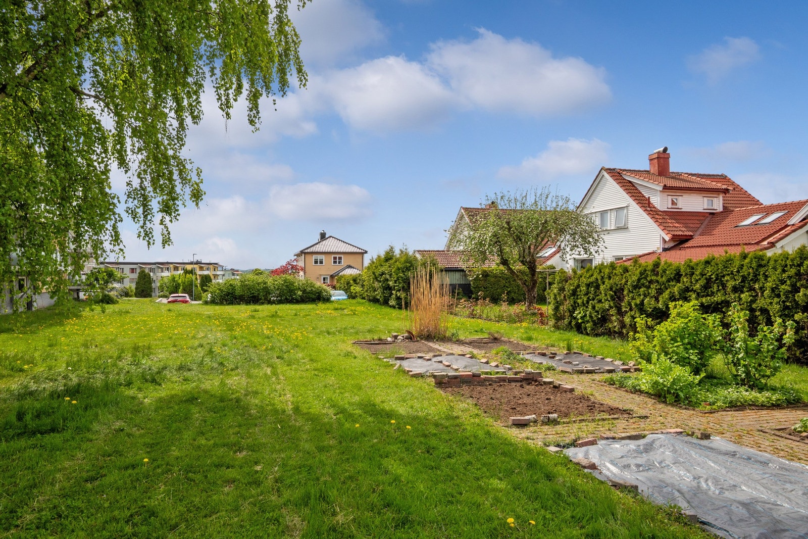 Felles tomt Galleribilde