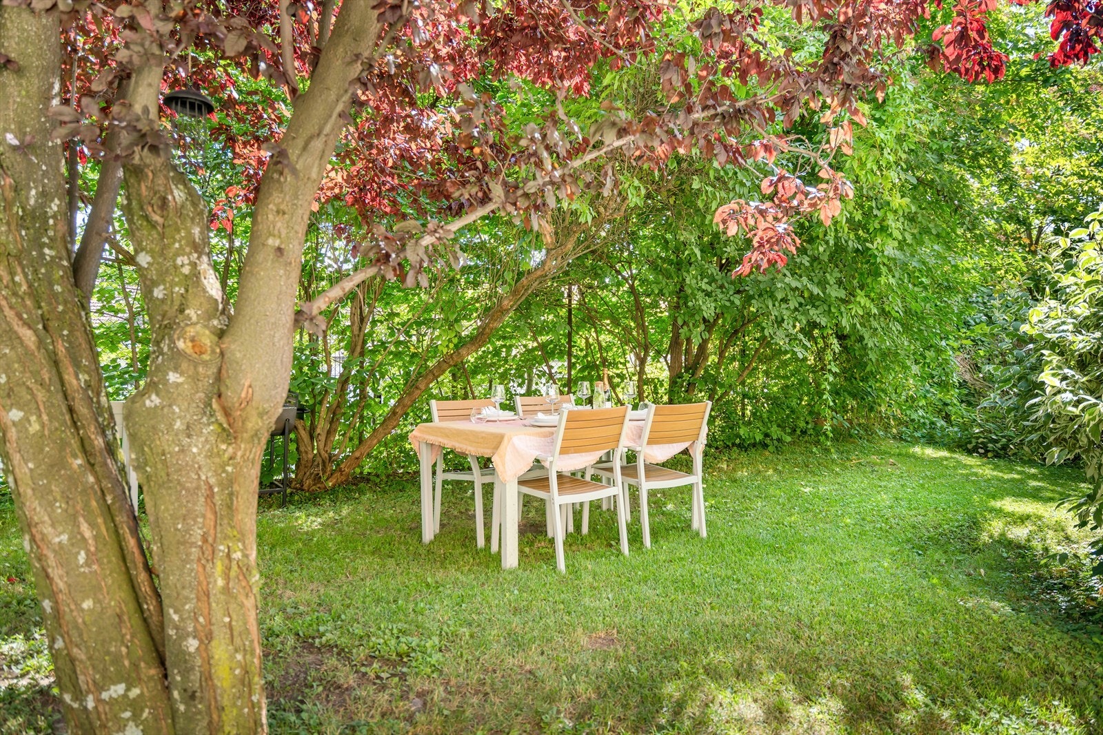 Flere bilder av hagen Galleribilde