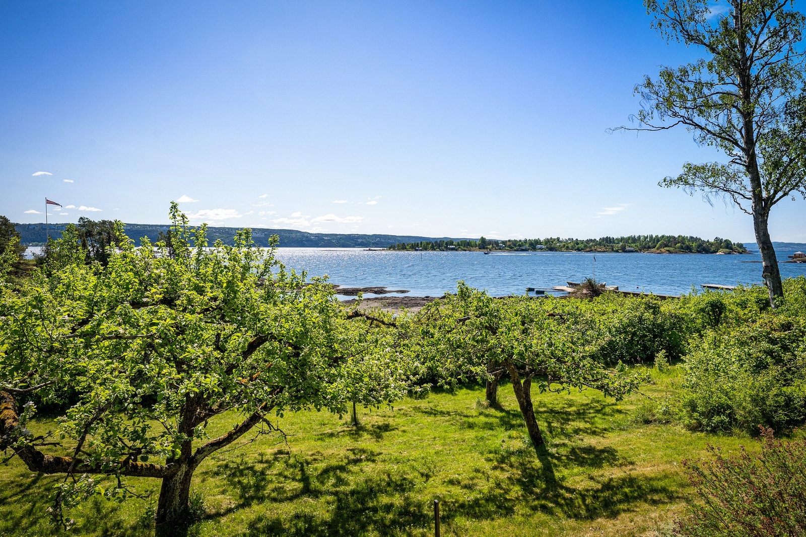 Flott eplehage. Til venstre for trærne spilles det badminton. Galleribilde