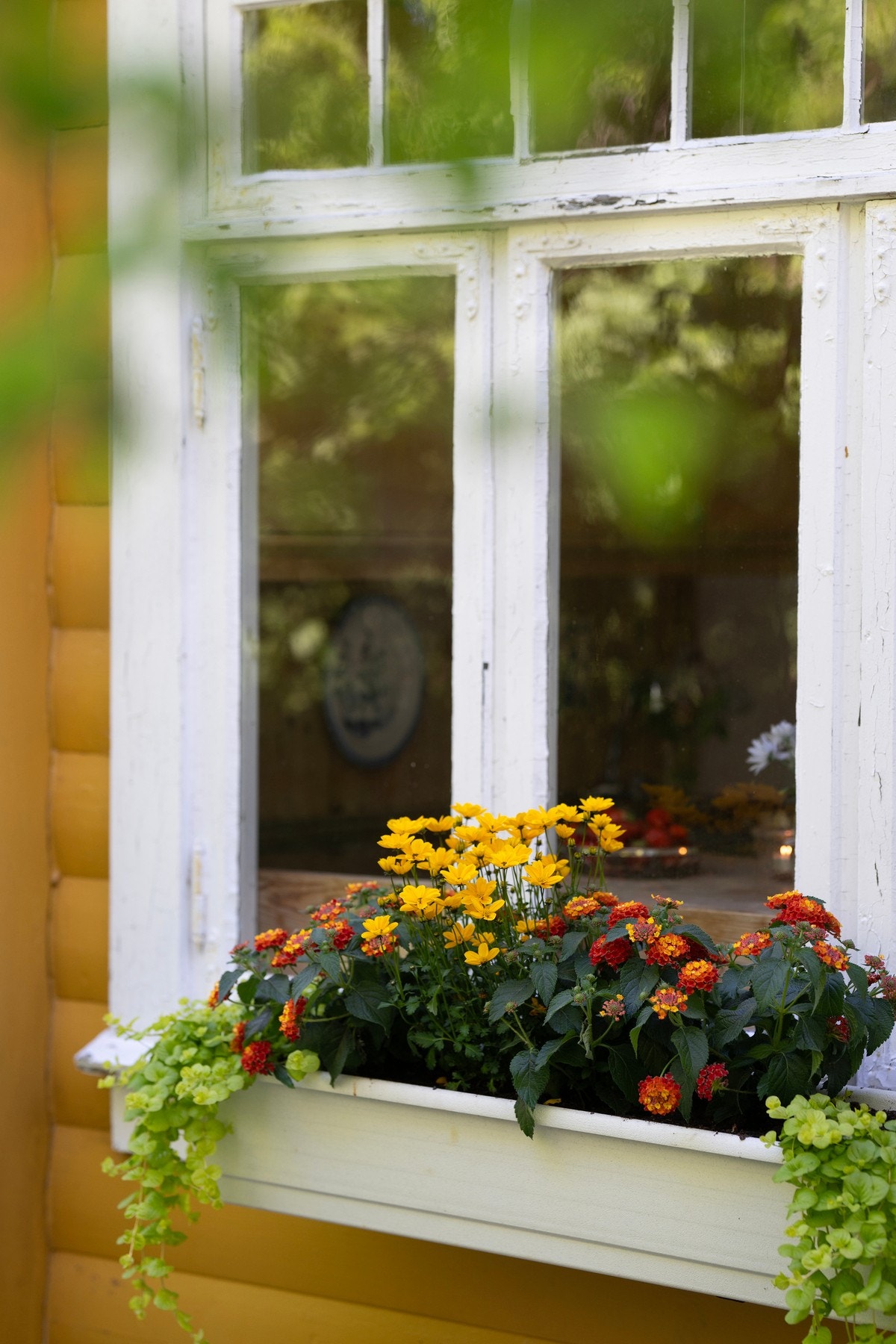 Landstedet, som har vært i familiens eie siden 1930 tallet, vil trenge oppussing for å fremstå i forums prakt. Galleribilde