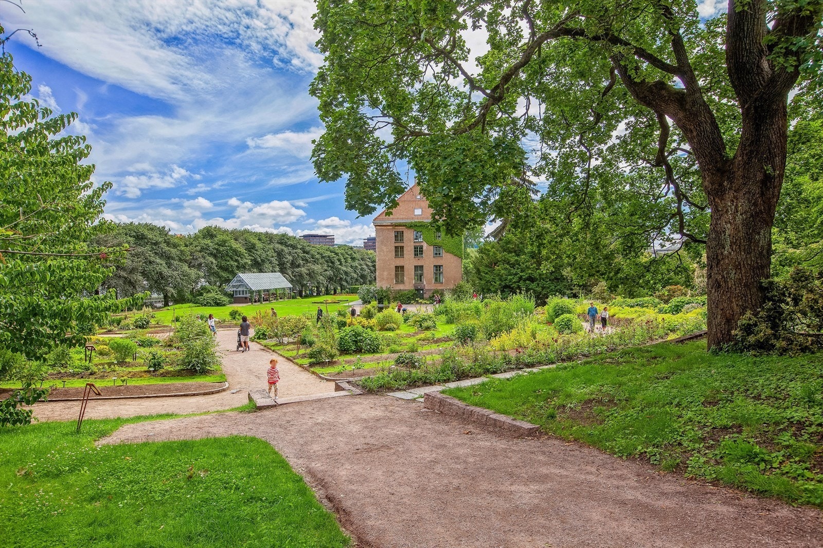 Botanisk hage ligger i nærheten. Galleribilde