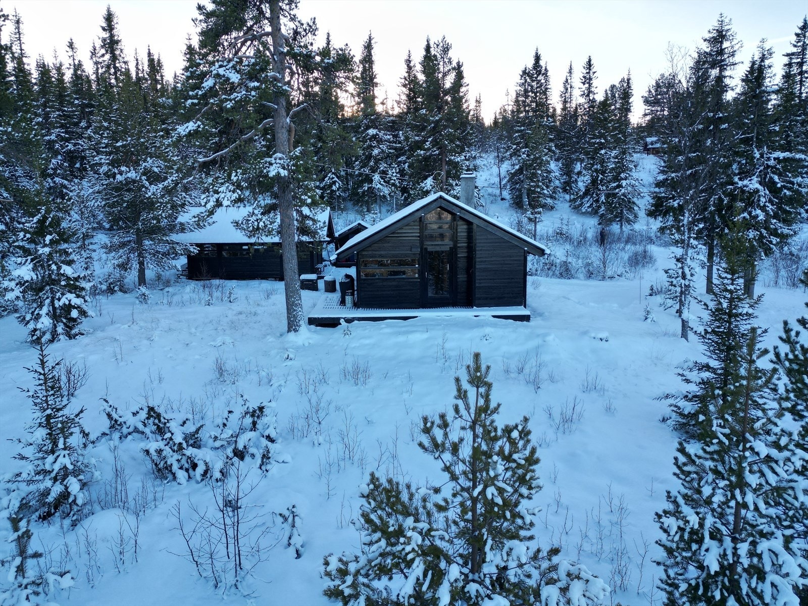 Vinter Galleribilde