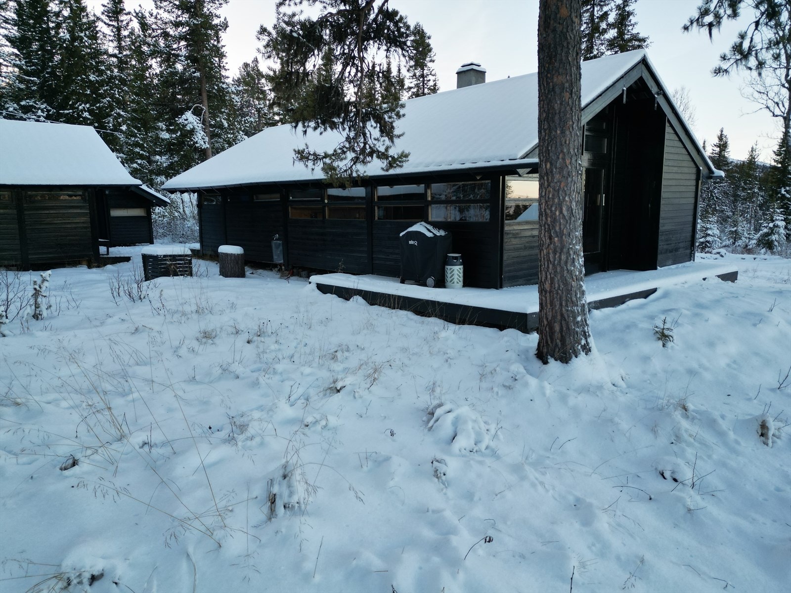 Vinter Galleribilde