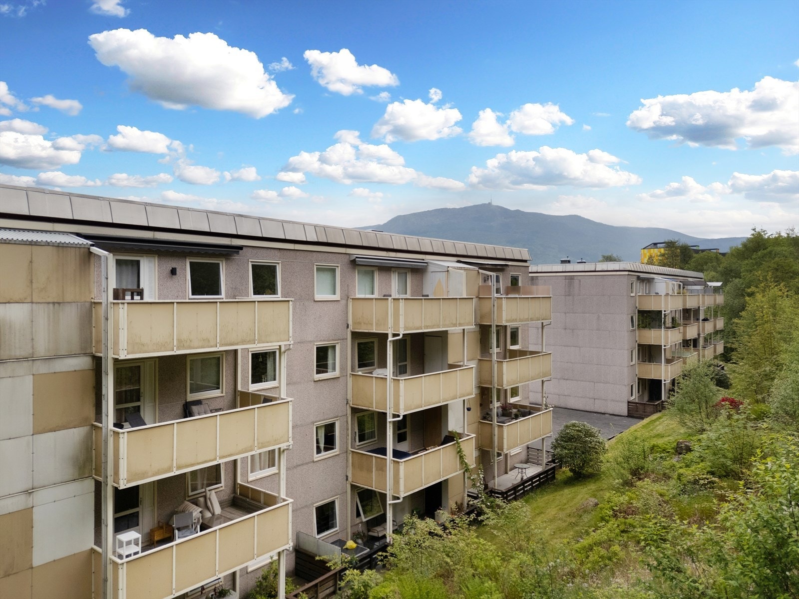 Like ved boligen er det herlig tursti langs Løvstien og videre til Løvstakken Galleribilde