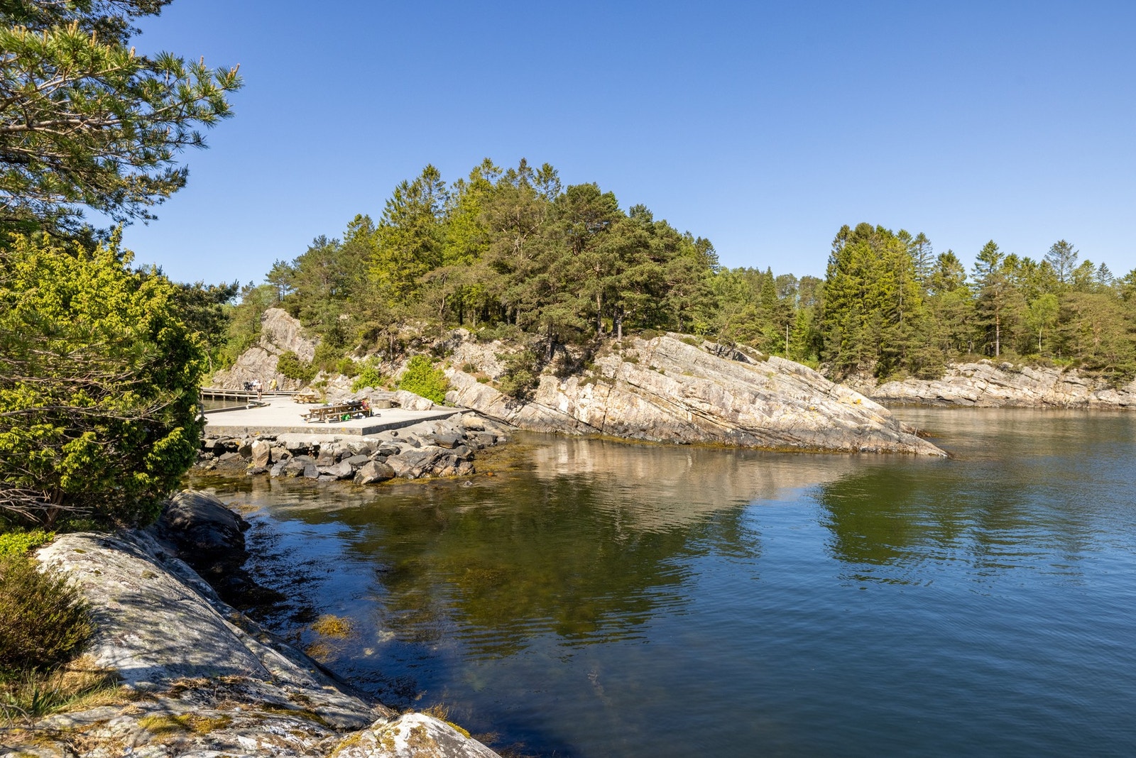 Nærområde. Galleribilde