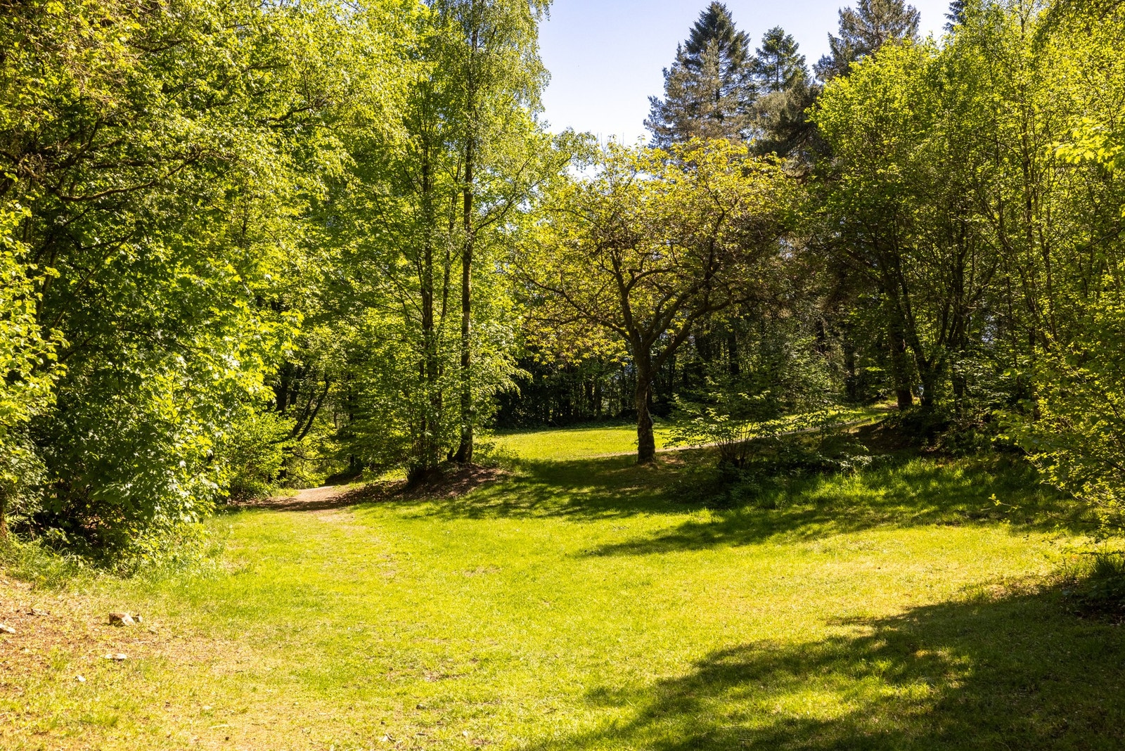 Nærområde. Galleribilde