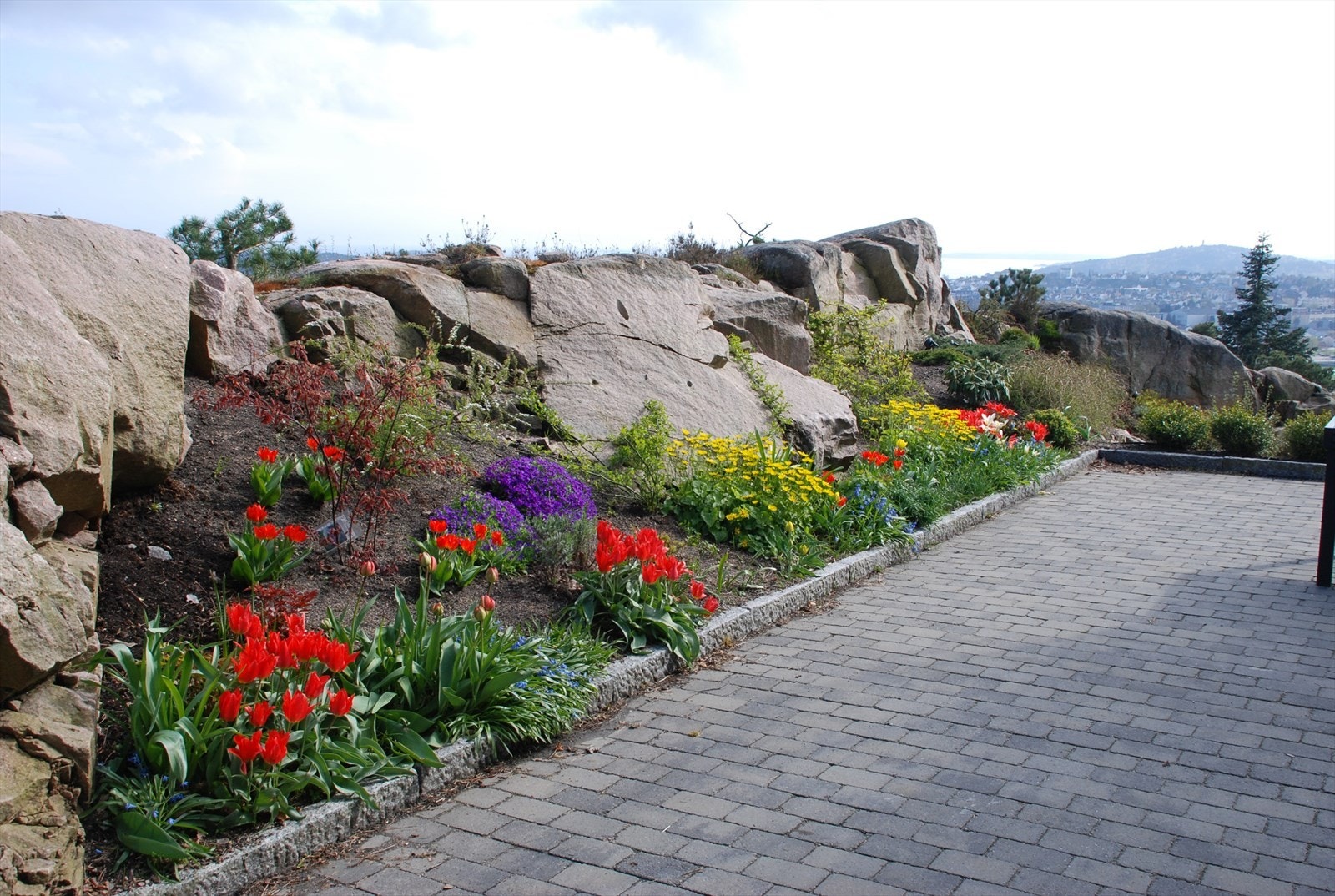 Selgers bilde- sommerstid Galleribilde