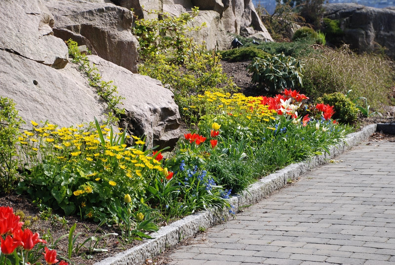 Selgers bilde- sommerstid Galleribilde