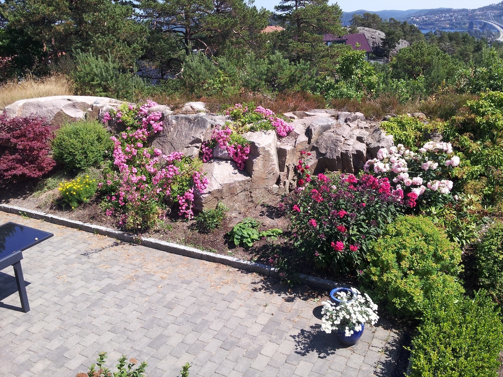 Selgers bilde- sommerstid Galleribilde